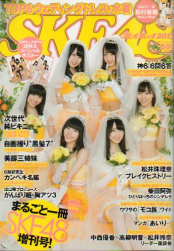  SKE48 × 週刊プレイボーイ 2013年11月15日号 (週刊プレイボーイ増刊) 雑誌