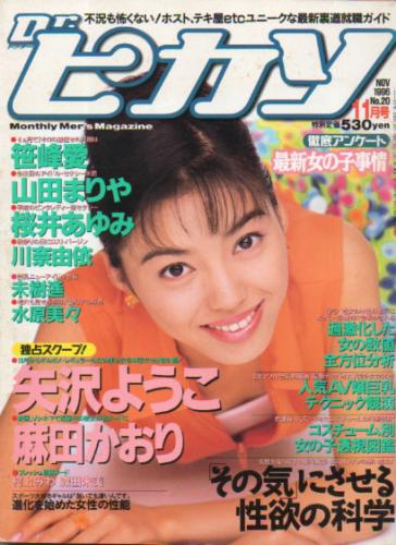  ドクターピカソ/Dr.ピカソ 1996年11月号 (No.20) 雑誌