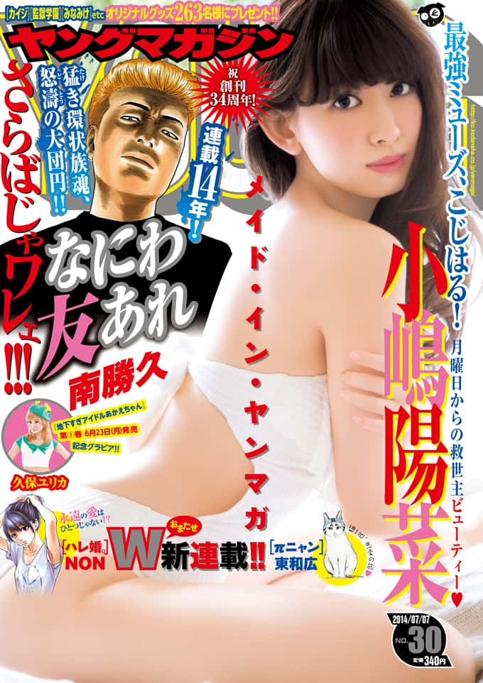  週刊ヤングマガジン 2014年7月7日号 (No.30) 雑誌