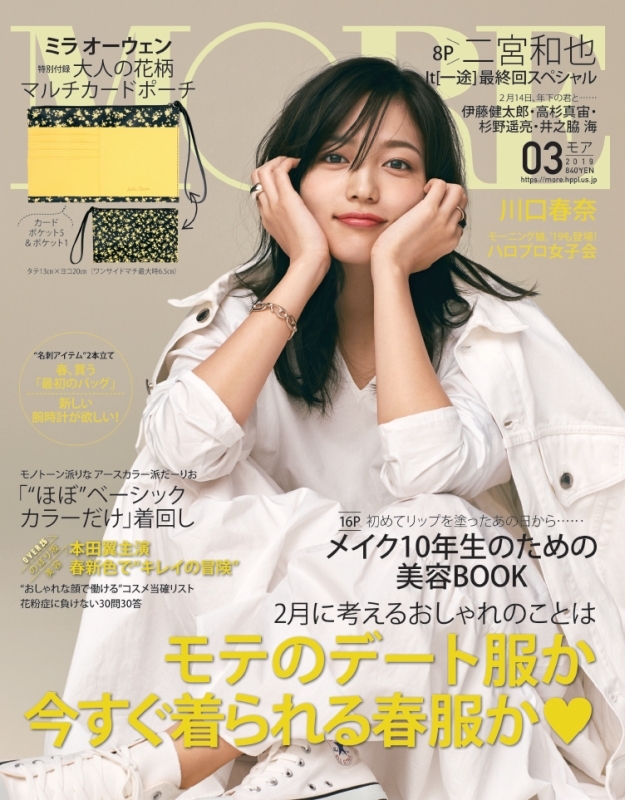  モア/MORE 2019年3月号 (No.501) 雑誌