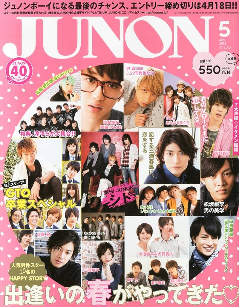  ジュノン/JUNON 2013年5月号 (41巻 5号) 雑誌