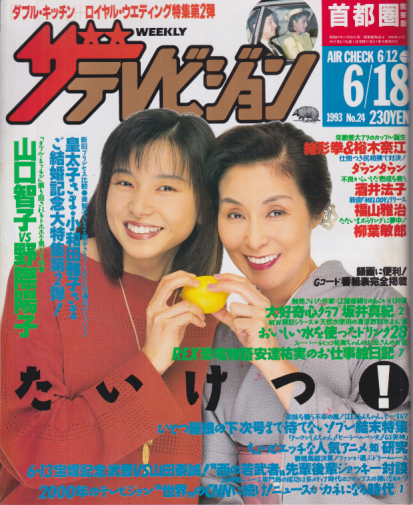  週刊ザテレビジョン 1993年6月18日号 (No.24/※秋田・岩手・山形版) 雑誌