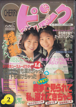  CHERRYピンク 1994年2月号 雑誌