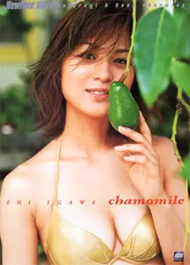 井川絵美 chamomile カモミール 写真集