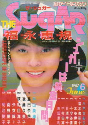  ザ・シュガー/The SUGAR 1987年6月号 (VOL.45) 雑誌