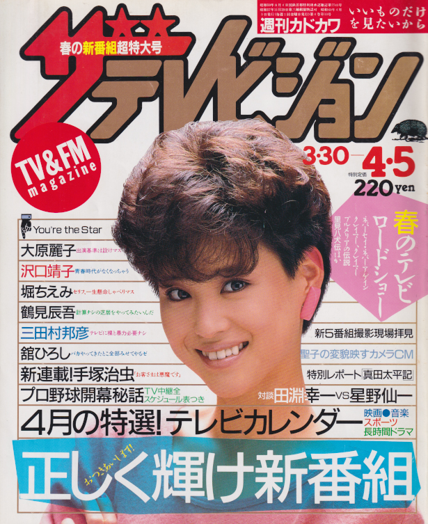  週刊ザテレビジョン 1985年4月5日号 (No.13) 雑誌