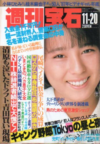  週刊宝石 1987年11月20日号 (295号) 雑誌