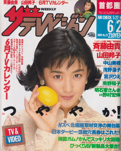  週刊ザテレビジョン 1989年6月2日号 (No.22) 雑誌