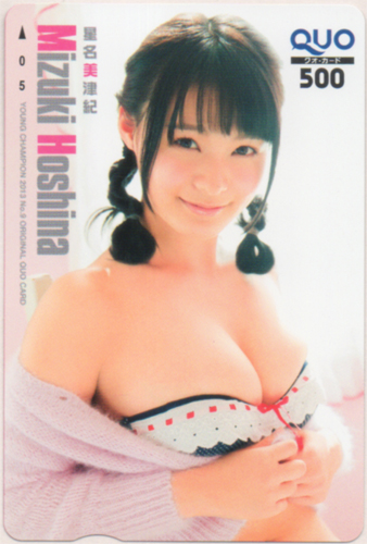 星名美津紀 ヤングチャンピオン 2013年4月23日号 (No.9) クオカード