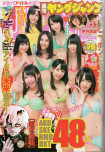  週刊ヤングジャンプ 2013年5月2日号 (No.20) 雑誌