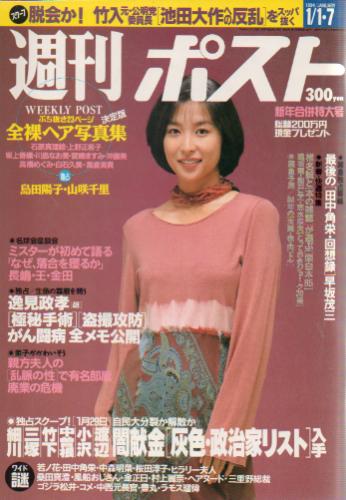  週刊ポスト 1994年1月7日号 (1224号) 雑誌