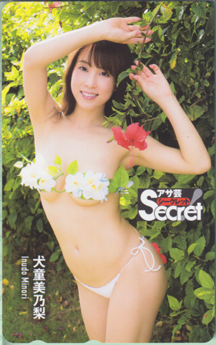 犬童美乃梨 週刊アサヒ芸能増刊 アサ芸Secret!/シークレット テレカ