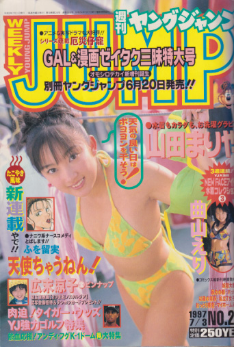  週刊ヤングジャンプ 1996年7月3日号 (No.29) 雑誌