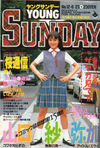  週刊ヤングサンデー 1995年6月23日号 (No12) 雑誌