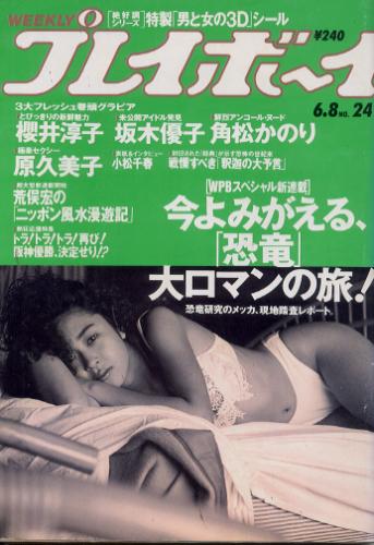  週刊プレイボーイ 1993年6月8日号 (No.24) 雑誌