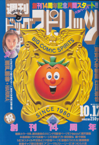  ビッグコミックスピリッツ 1994年10月17日号 (NO.43) 雑誌