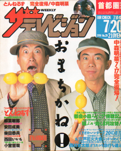  週刊ザテレビジョン 1990年7月20日号 (No.29) 雑誌