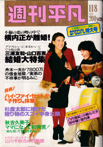  週刊平凡 1979年11月8日号 (1046号) 雑誌