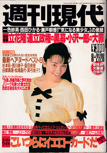  週刊現代 1993年8月21日号 (35巻 32号 通巻1754号 No.34・35) 雑誌