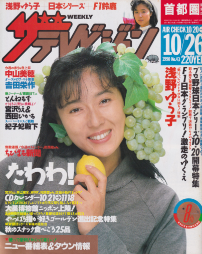  週刊ザテレビジョン 1990年10月26日号 (No.43) 雑誌