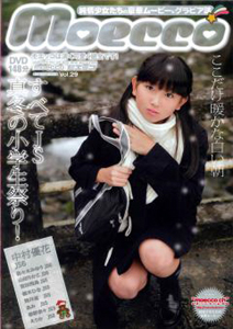 モエッコ/Moecco 2011年1月号 (vol.29) 雑誌