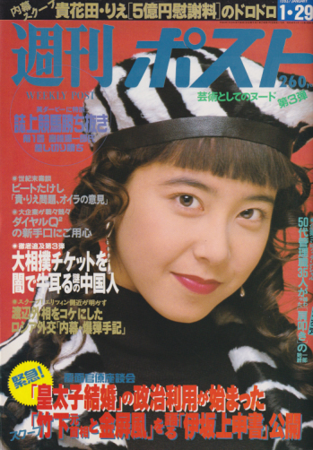  週刊ポスト 1993年1月29日号 (1178号) 雑誌