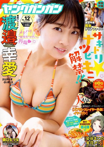  ヤングガンガン 2019年6月21日号 (No.12) 雑誌