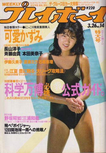  週刊プレイボーイ 1985年3月26日号 (No.14) 雑誌