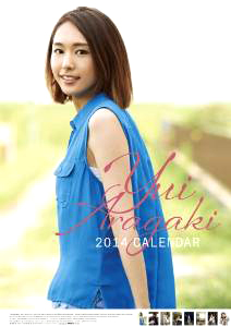 新垣結衣 2014年カレンダー カレンダー
