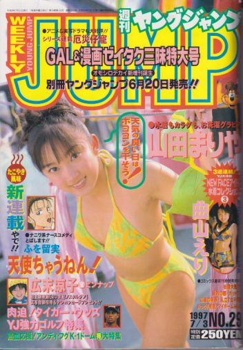  週刊ヤングジャンプ 1997年7月3日号 (No.29) 雑誌