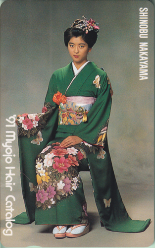 中山忍 明星ヘアカタログ 1991年1月号 (Vol.52) テレカ