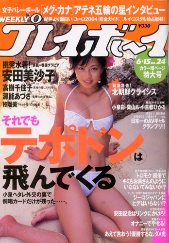  週刊プレイボーイ 2004年6月15日号 (No.24) 雑誌