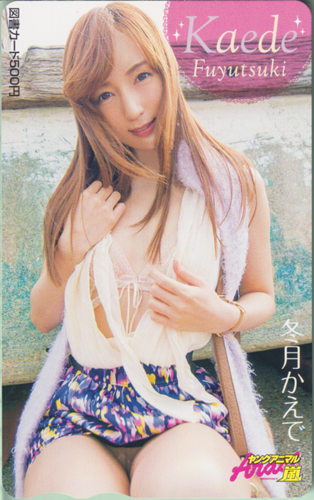 冬月かえで ヤングアニマル嵐 図書カード