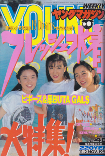  週刊ヤングマガジン 1992年11月2日号 (No.46) 雑誌