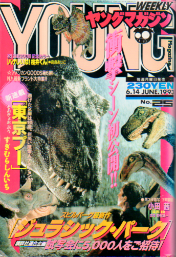  週刊ヤングマガジン 1993年6月14日号 (No.25) 雑誌