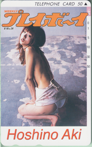 ほしのあき 週刊プレイボーイ 2008年6月16日号 (No.24) テレカ